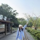 무지개상점&아이스크림나라 | 대만 타이베이 여행 예스폭진지 당일치기 버스투어 내돈내산 후기