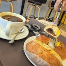 애견시선 이미지