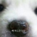 조은돈까스 이미지