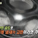 [백년 습관, 여름 빨래] 덥고 습한 장마철 높아진 습도로 빨래 냄새가 고민이라면 주목!... 이미지