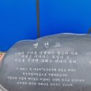 진하농장 이미지