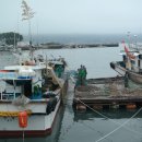 미미게임랜드 이미지