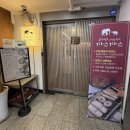 코끼리아프리카까스까스 이미지