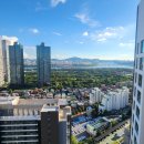 강남리얼티공인중개사사무소 이미지