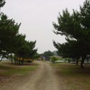 솔밭민박 이미지