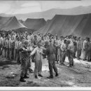 짝때기2 이미지