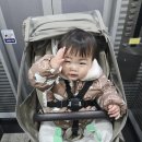 어른이 되고 싶은 꼬마김밥 | 주간 먹일기 고고