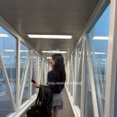 삼동 255-1 | [제주여행]제주 서쪽 코스, 2박 3일 여행 중 1일차, 산방산 유채꽃밭, 흑돼지 맛집, 협재해수욕장 등