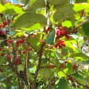 구리한빛요양병원 이미지