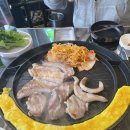돈돈 티스토리