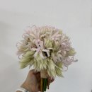 용산-430 | 용산 부케말리기 리틀리에 소울 | 블러싱 브라이드 부케 말리기 제작 후기