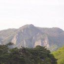 비자숲민박 이미지