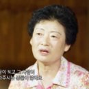 꿀벌부부