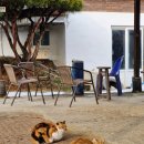 용골가든 이미지