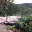 한솔1호 태양광발전소 이미지