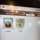 귤낭귤낭 | 여주 아울렛 개인카페 추천 카페귤낭 솔직후기