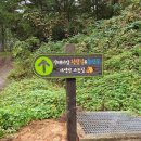 청람 이미지