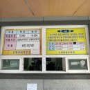 경남노지캠핑장 밀양 기회송림야영장 후기, 애견동반 캠핑장