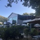 숲속카페브런치 | [강동구 브런치 맛집] 숲속 뷰 브런치 카페 ‘스윗솔트’ 솔직 후기(내돈내산)