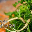 태백닭갈비 Daum카페