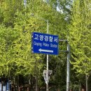 고양경찰서 어린이집 | 경기고양경찰서 / 국제운전면허증 발급후기, 주차정보