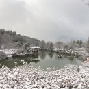 유성차사랑 이미지