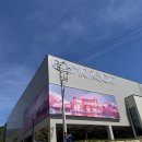 페이퍼글라스 아트 | [경주 전시회] 코스믹 리조트 | 내돈내산 솔직후기 | 오픈 할인 | 꿀팁