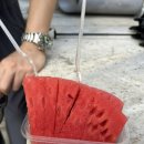 터키식전통케밥&돈두루마아이스크림 | 이스탄불 맛집 10곳 직접 다녀온 솔직후기(신시가지, 구시가지)