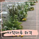 햇빛마루 | 자작마루 웨딩 예식 솔직한 하객후기 장단점