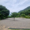 청주인근 당일평상 삼태기 캠핑장 후기