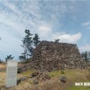중엄리[남] Daum카페