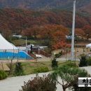 구룡산 오토캠핑장 네이버블로그