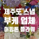 10 제주 스냅 웨딩 부케 업체 비교(어밍톤플라워/어밍톤부케/더가든317/라플레르/아이디어스/제주부케비교)