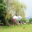 우리들 농장 이미지