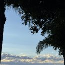 LA김밥 | 미국 서부 여행 🇺🇸 - 9(LA / 유니버셜 스튜디오 할리우드, 트레이더조 후기)