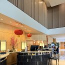 엠호텔 | 시드니 여행 더 포터하우스 호텔 엠갤러리 숙박 후기, 조식, 바베큐