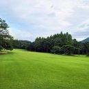 현충원로(유성-19) 이미지