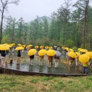 깊은산속옹달샘 이미지