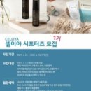 도도인터내셔널 이미지