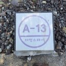 더멍스테이 | [경남/의령 더멍스테이][260606-260607] 두가족사이트 이용후기 및 놀이시설(모래놀이, 트램펄린...