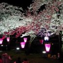 하나미 이미지
