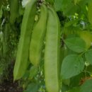 미라클건강센터 이미지