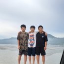 TH용인대유도체육관 이미지