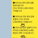 🔶️ LOBO 뮤비 감독 라이너님이 출연하는 실시간 방송에 LOBO 응원 댓글을 달아주세요! 이미지