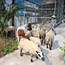 첨단농장 이미지