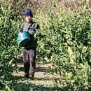 윤서농장 이미지