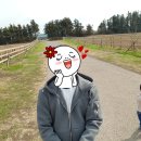 처남목장 이미지