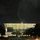 중동작은도서관 | 두바이 공항 근처 볼만한 곳 모하메드 빈 라시드 공립도서관 feat. 중동 최대의 도서관