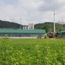 강정보여울협동조합 이미지