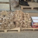 대호상회 이미지